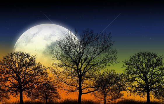 神秘花园说明大满月和树木形状自然说图片