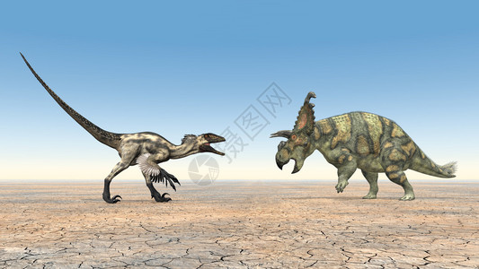 计算机生成了3D说明恐龙Deinonychus和艾伯塔大图片