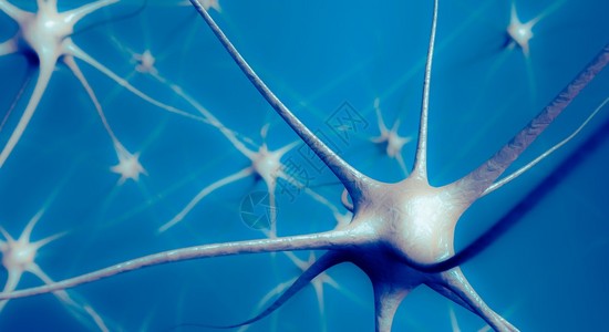 大脑的神经元3D图片