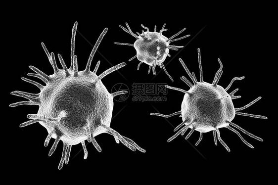 以黑色背景隔离的寄生虫人体致病微生物图片