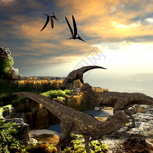 斯捷戈塞拉斯恐龙食用岩石海岸的植被当培拉诺登爬行动图片