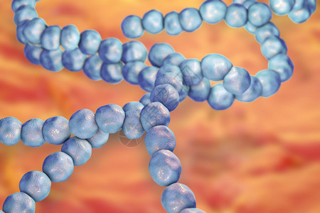 StreptococccusMutans细菌引起牙科类动物的克抗阳共活行图片