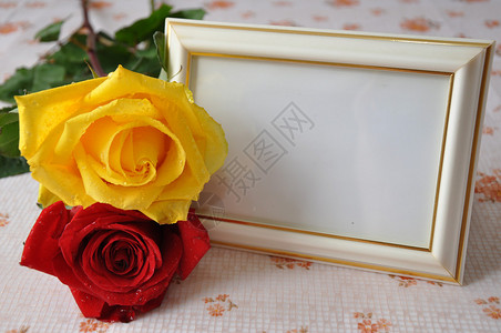 相框和玫瑰背景图片