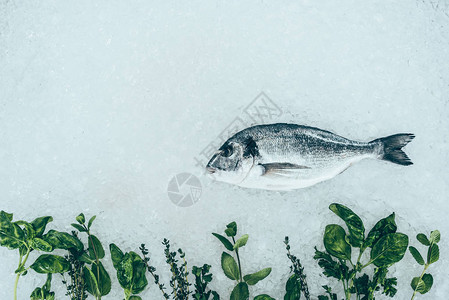 冰上美食健康多拉鱼和草图片