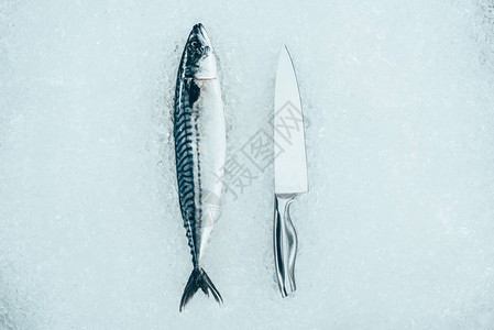 冰上生鲜鲭鱼和刀的顶部视图图片