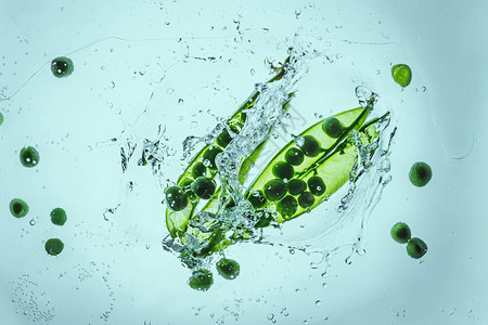 新鲜的绿豌豆漂浮在水中蓝色溅起水花图片