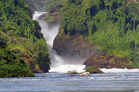 是乌干达北部维多利亚尼罗河的基奥加湖和艾伯特图片