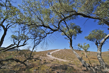 澳大利亚Flinders公园探索图片