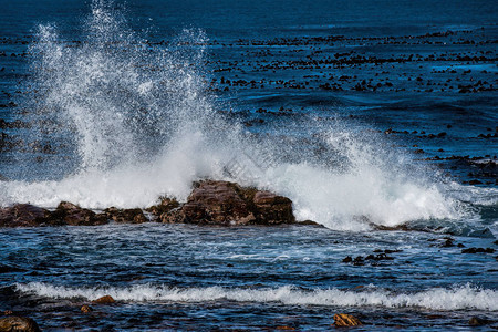 海浪拍打着南非的岩石图片