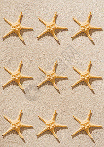在沙滩上重复海星的俯视图图片