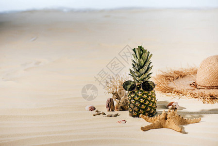 带有太阳眼镜的菠萝海星大海草帽和在沙滩上具有复图片