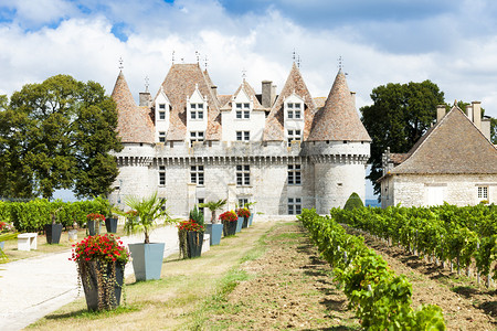 Monbazillac城堡与葡萄园图片