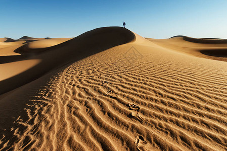 摩洛哥传统穿戴头巾的男子在撒哈拉沙漠中爬上沙丘图片素材