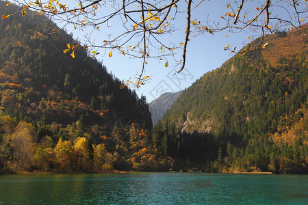 山和湖前景是秋叶图片