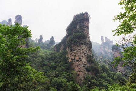 杨家界风景名胜区张家界山水景观图片