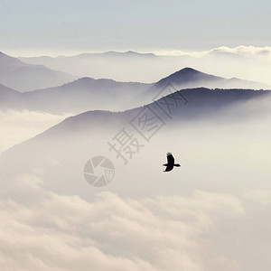 云雾中的山岳月光和鸟背景图片