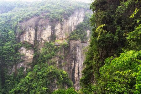 大峡谷悬崖边的景色长在悬崖上和狭窄的石头山图片