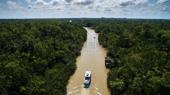 巴西亚马逊河鸟瞰图图片