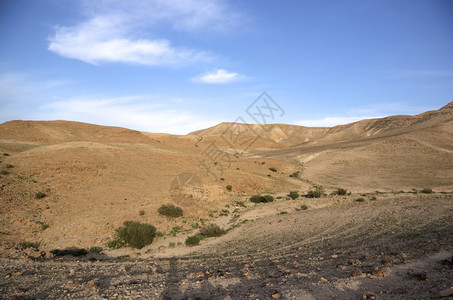 在Judean沙漠的Israeli岛旅图片