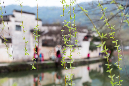 湖畔中式古宅背景图片