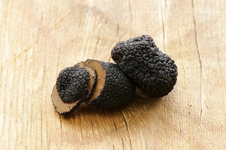 价格昂贵的稀有黑松露蘑菇木图片