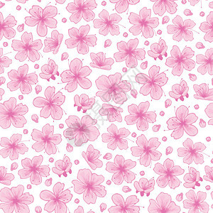 铺满粉色樱花的白色背景图图片