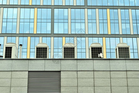 玻璃幕墙的现代办公楼图片