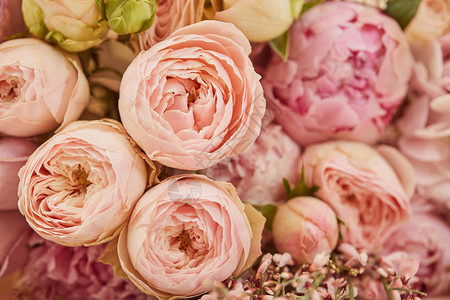 粉红色牡丹花束的特写图片