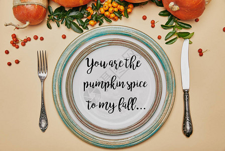 感恩节餐桌上的盘子和南瓜和火棘浆果的顶视图图片