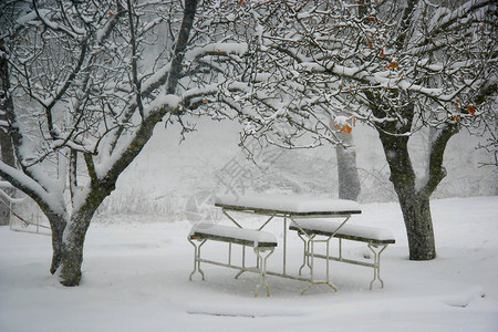 冬天野餐的地方图片