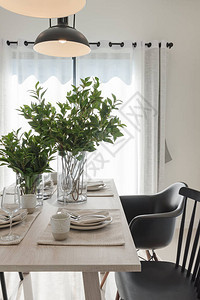 用黑色现代椅子和植物花瓶放在桌上图片