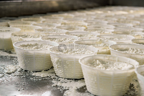 意大利在店里生产意大利乳酪recottac图片