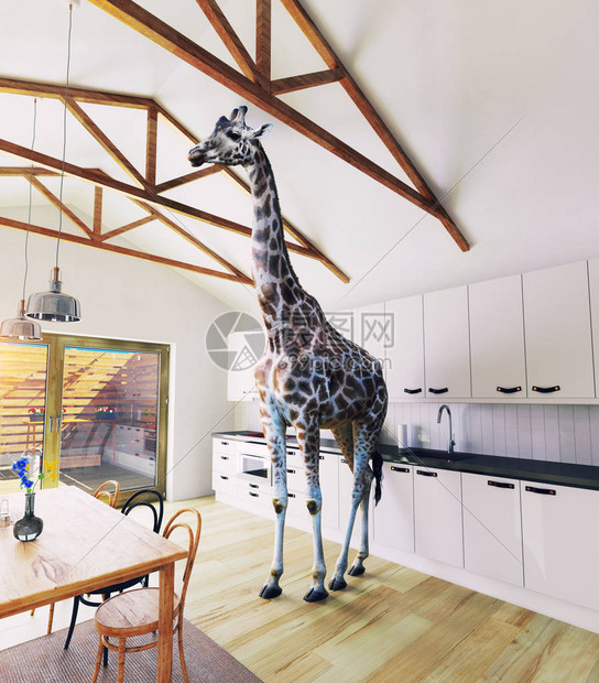 阁楼窗户的长颈鹿3D投影元素和图片