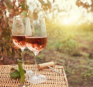 秋天葡萄园的两杯玫瑰酒收获时间图片