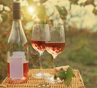 秋天葡萄园两杯玫瑰酒和一瓶玫瑰图片