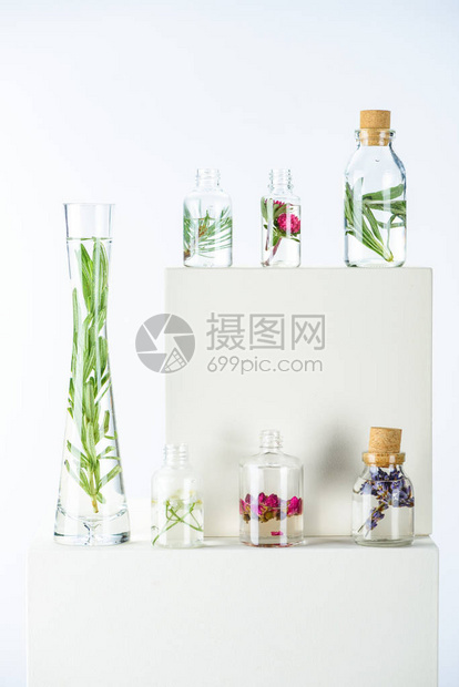 花瓶和子天然草药基本油白立方体图片
