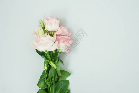 花朵组成粉红玫瑰花在面贴蓝色背景上平底最高视图图片