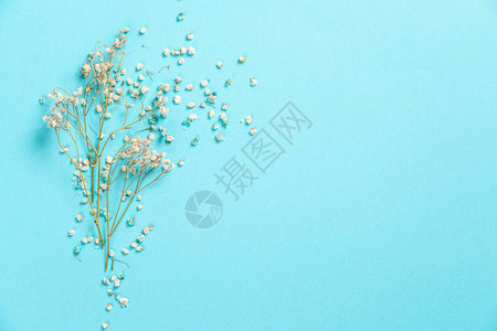 花朵组成Gypsophila花朵在面贴蓝色背景上平底图片