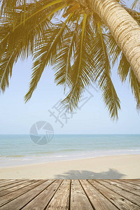 夏季用椰子棕榈在热带岛屿海滩上图片