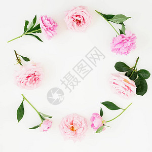 粉红玫瑰花皮和白底绿叶的花边框图片