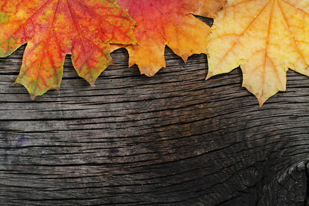 秋天的木制背景与枫叶背景图片