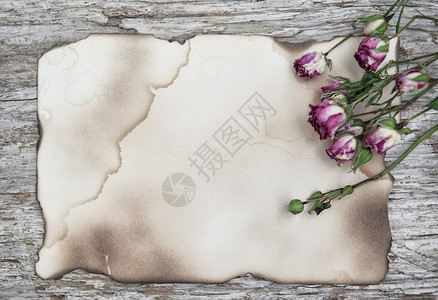 旧纸和木制背景上的干茶玫瑰图片