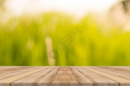 在模糊的前的木板空桌子森林中模糊木上的透视棕色木材可用于展示或蒙太奇您的产品春暖花开的季节图片