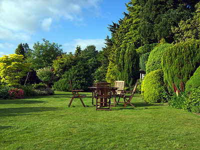 夏末的英式花园背景图片