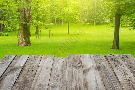 从绿色春季公园背景上的空木甲板桌图片
