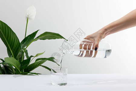 白色表面绿色和平百合花植物附近玻璃瓶中妇女浇水的作物背景图片
