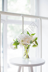 白色房间内的咖啡桌上放着一束白牡丹花窗图片
