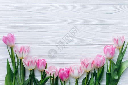 白色木制背景上新鲜粉红色郁金香的边框背景图片