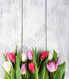 一束新鲜的春天郁金香木质背景上的花朵卉边框图片