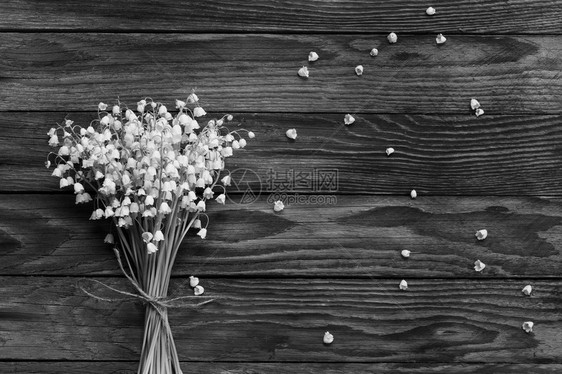 一束白花铃兰和落花在木板上黑白相间图片